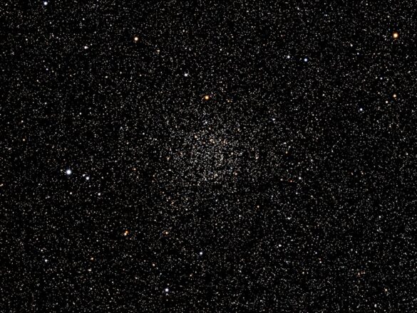 Halflange kapsels dames: stijlvol, veelzijdig en makkelijk