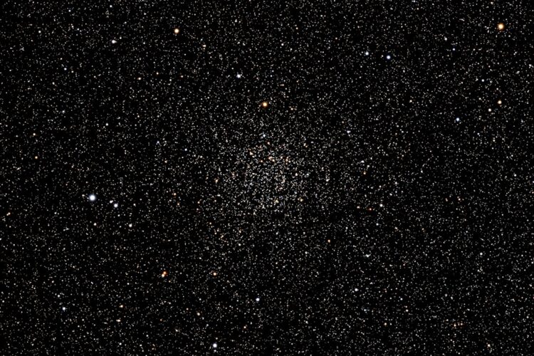 Halflange kapsels dames: stijlvol, veelzijdig en makkelijk