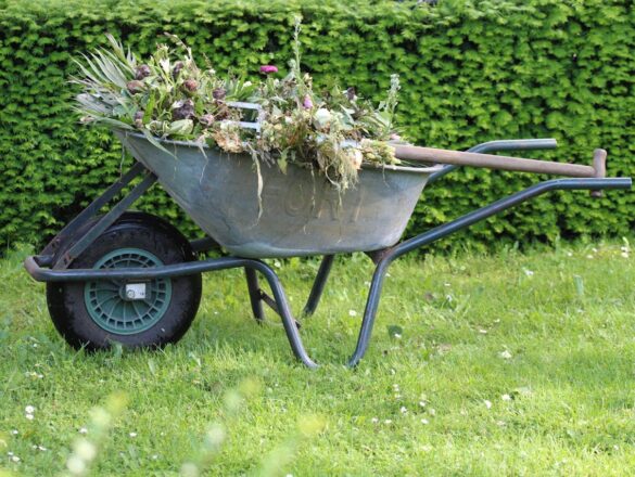 Tuinaanleg voor beginners: De basisgereedschappen die je nodig hebt voor je eerste tuinproject