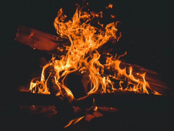 Een goede houtvoorraad als basis voor een warme winter