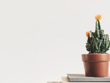 Gezonde rododendrons door op het juiste moment te snoeien