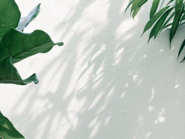 De beste tijd en manier om Annabelle te snoeien