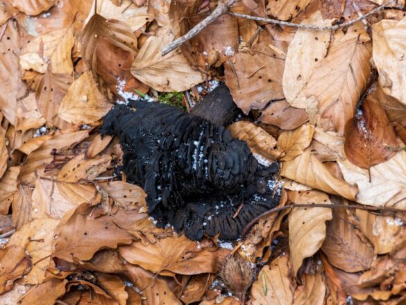 Slapen met een bh aan: slecht of prima voor je gezondheid?