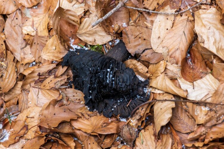 Slapen met een bh aan: slecht of prima voor je gezondheid?