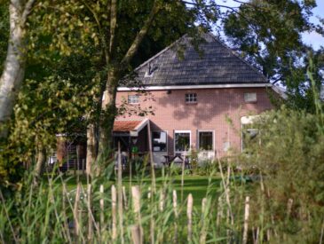 Terras, oprit of tuinkamer: beton storten als slimste keuze voor buiten