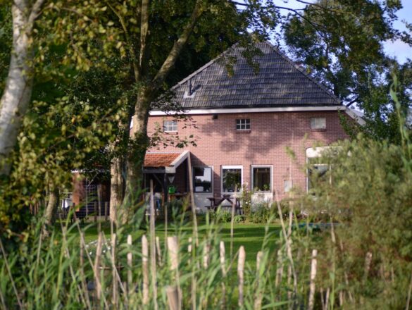 Terras, oprit of tuinkamer: beton storten als slimste keuze voor buiten