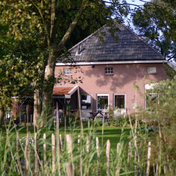 Terras, oprit of tuinkamer: beton storten als slimste keuze voor buiten