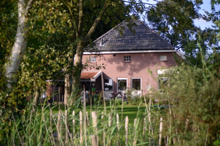 Terras, oprit of tuinkamer: beton storten als slimste keuze voor buiten